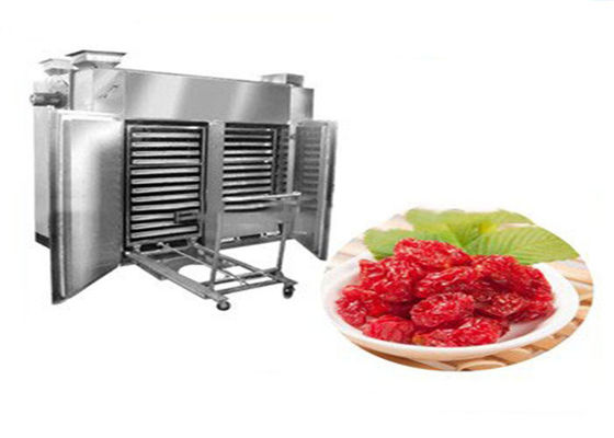 καυτός φούρνος στεγνώματος 1.35kw 300kg για Dehydrator Bottarga την ξήρανση φρούτων